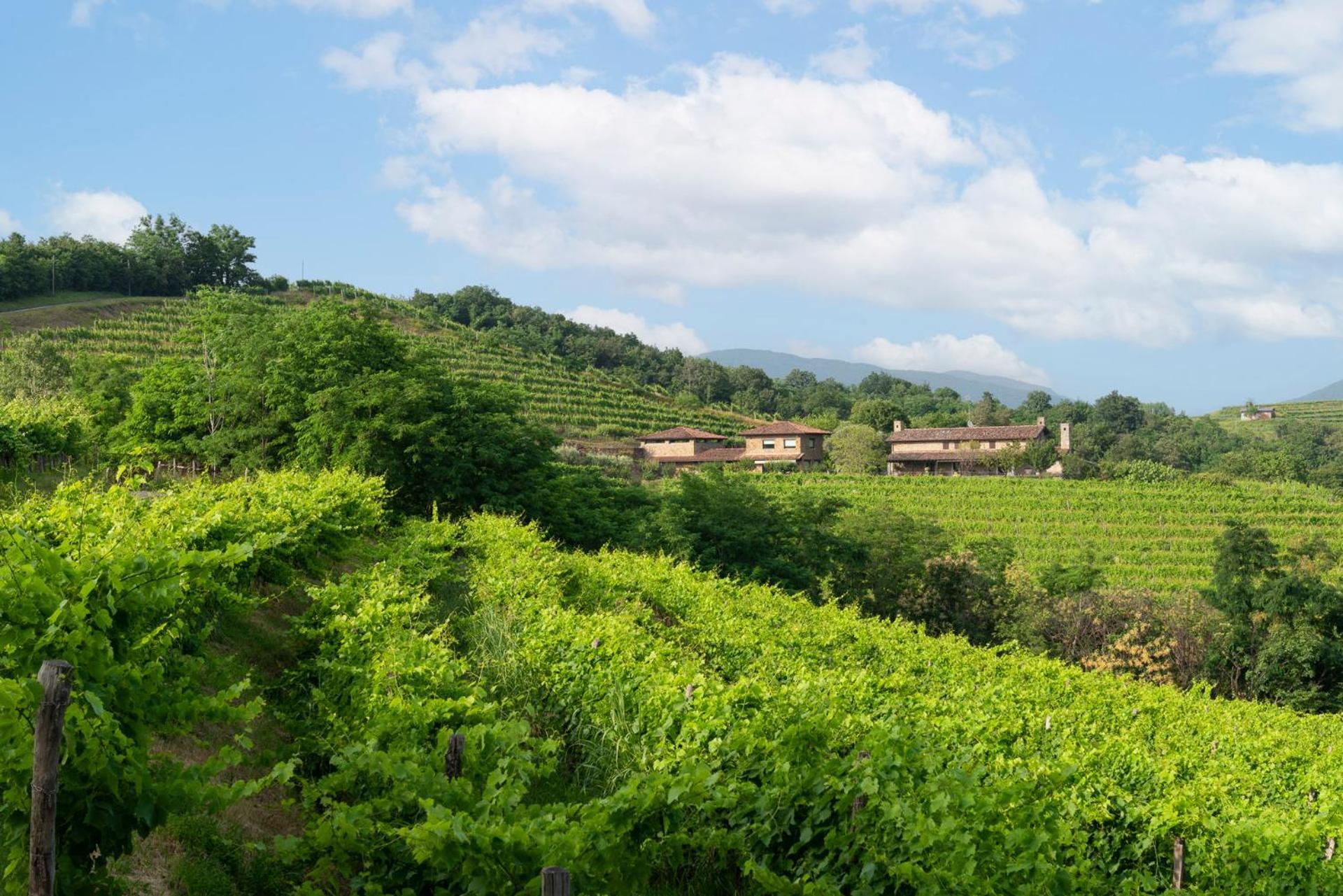 Lis Fadis Wine Relais Vila Cividale del Friuli Exterior foto